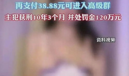 可以直接看的黄色视频,揭秘黄色视频背后的真相与警示